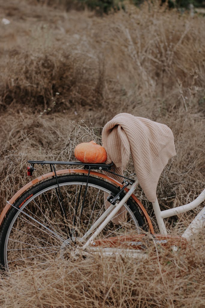 Cozy autumn scene with a bicycle, pumpkin, and brown shawl in a field.